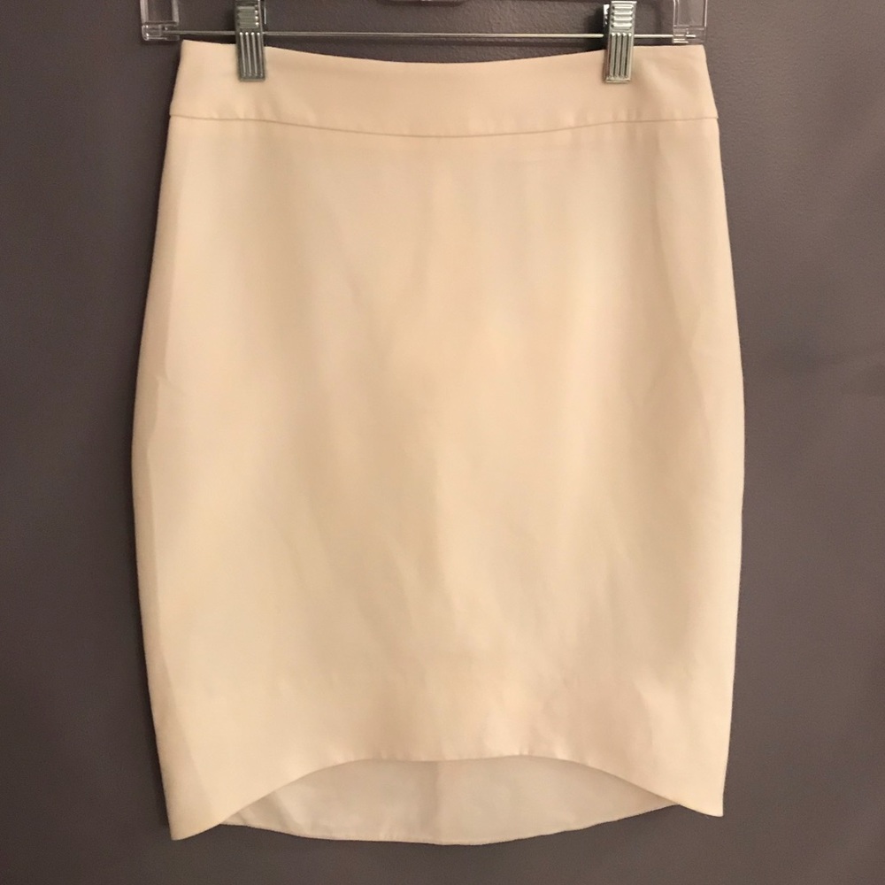 Express Skirt